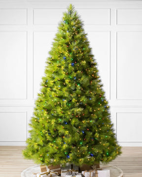 Árvore de Natal Verde Monterey Pine com Galhos Longos, Suporte Metálico e Micro LEDs Coloridos Embutidos